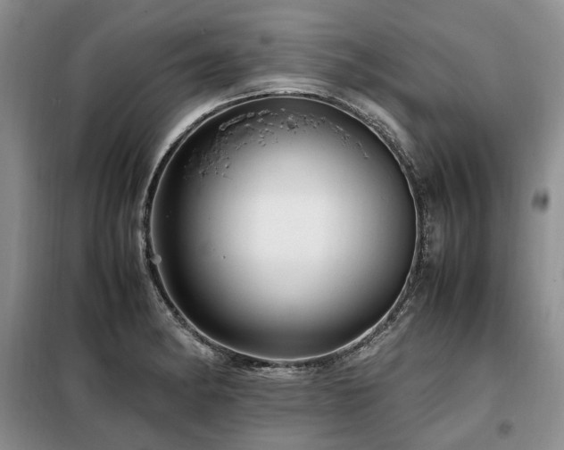 X0000099291182200805021225