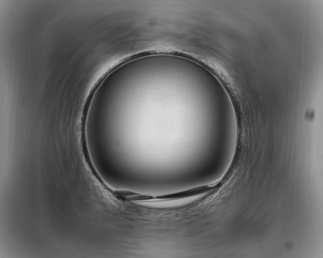 X0000099291183200805021225
