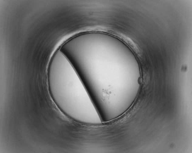 X0000099291184200805021225