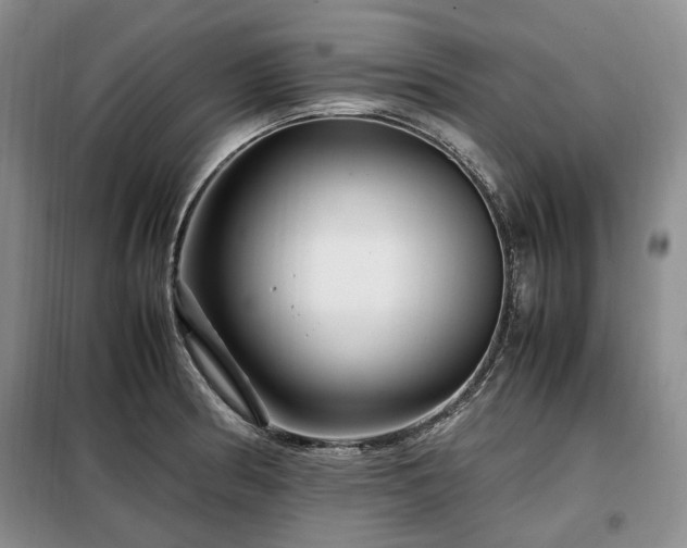 X0000099291186200805021225