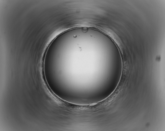 X0000099291187200805021225