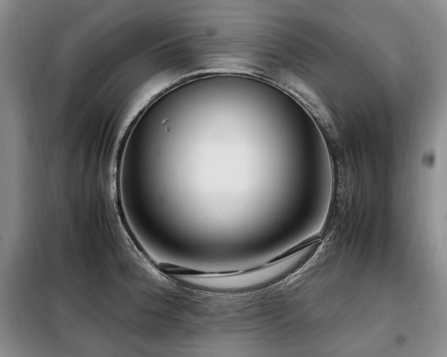 X0000099291188200805021224