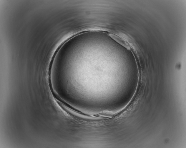 X0000099291189200805021224