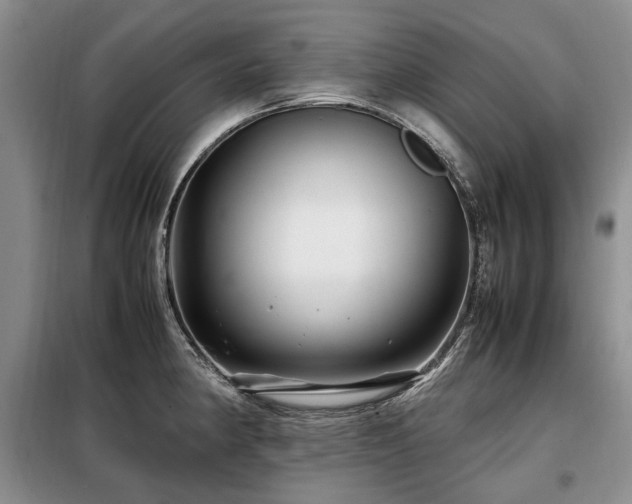 X0000099291190200805021224