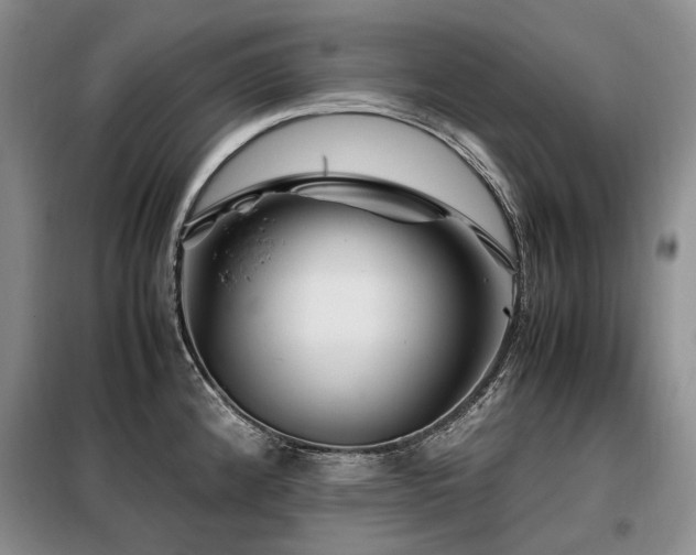 X0000099291192200805021224