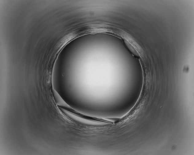 X0000099291193200805021224