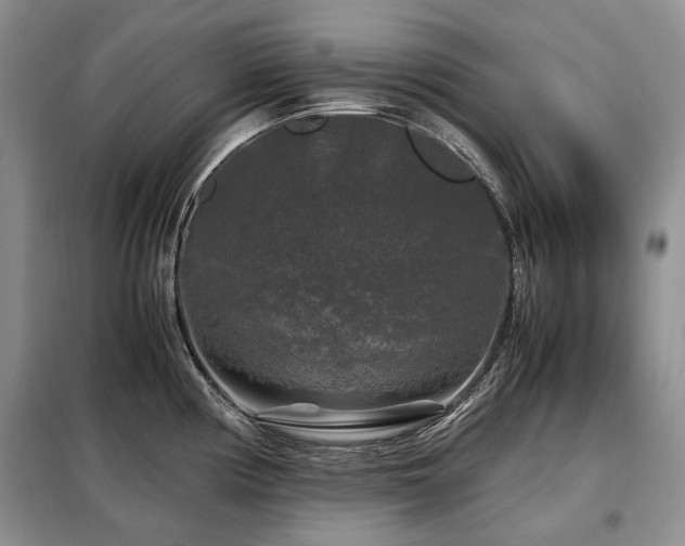 X0000099291194200805021224