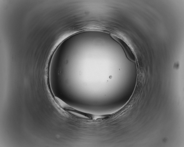 X0000099291195200805021224