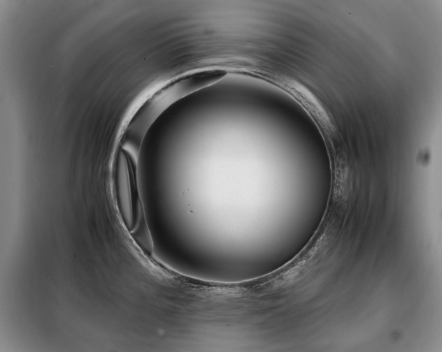 X0000099291196200805021224