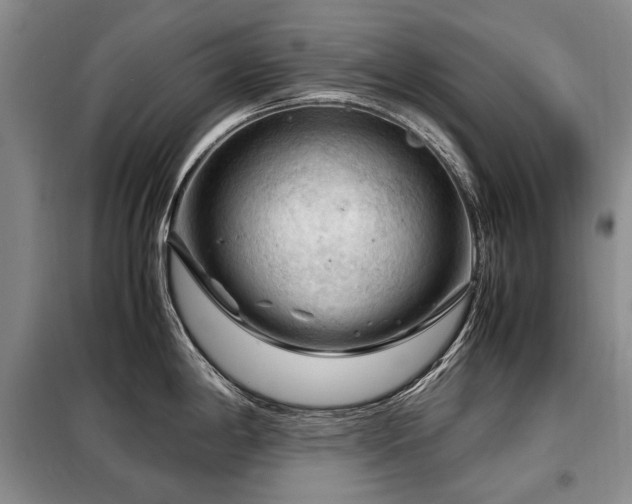 X0000099291198200805021224