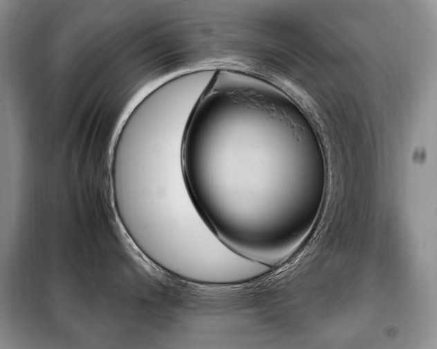X0000099291200200805021224