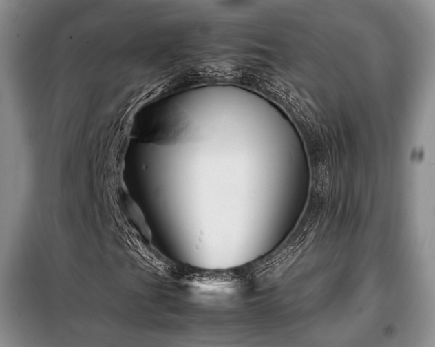 X0000099291201200805021223
