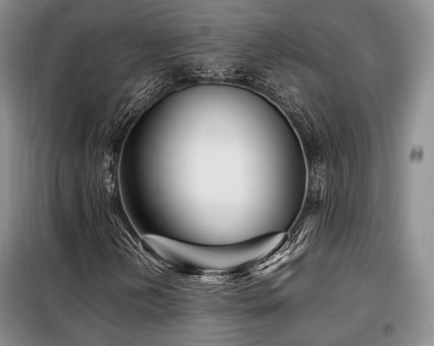 X0000099291202200805021224