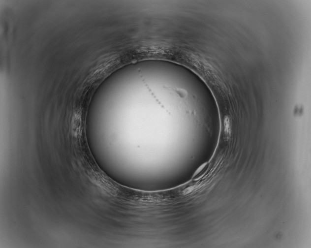 X0000099291203200805021224