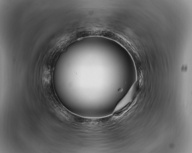 X0000099291204200805021224