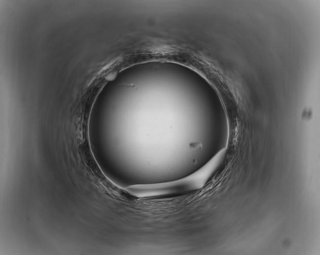 X0000099291205200805021224