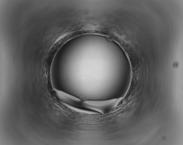 X0000099291206200805021224
