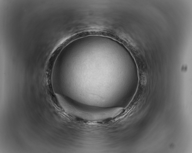 X0000099291208200805021224