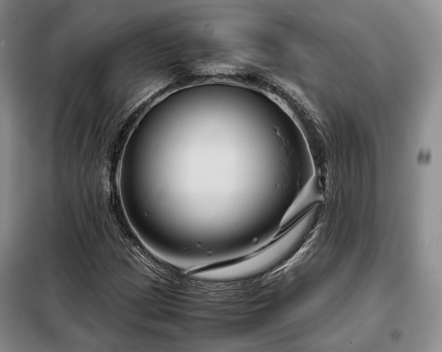 X0000099291209200805021224