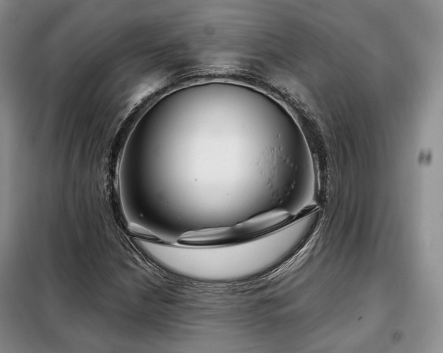 X0000099291210200805021224