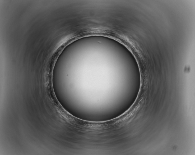 X0000099291211200805021224