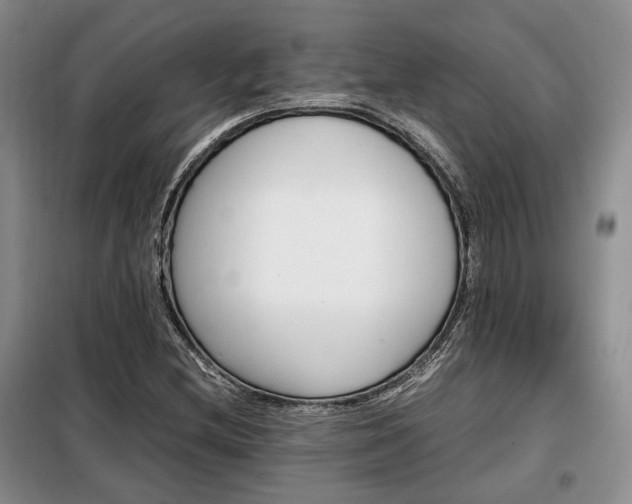 X0000099291212200805021224
