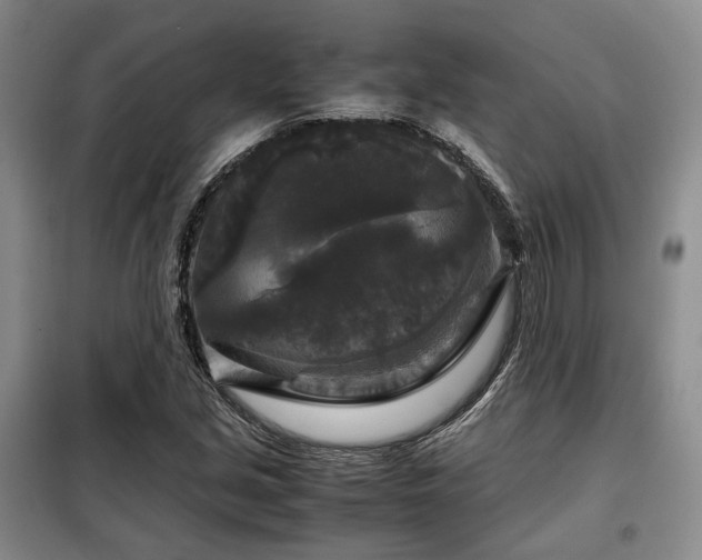 X0000099291213200805021224