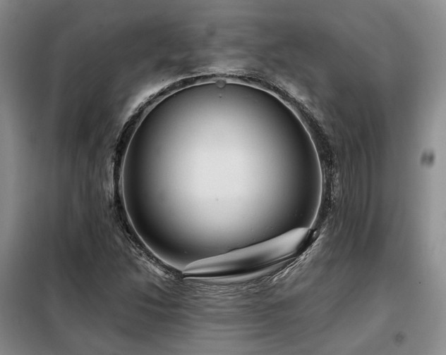 X0000099291214200805021224