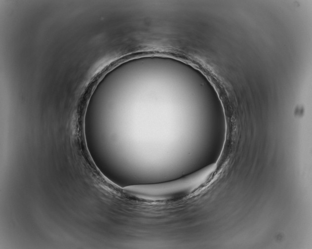 X0000099291215200805021224