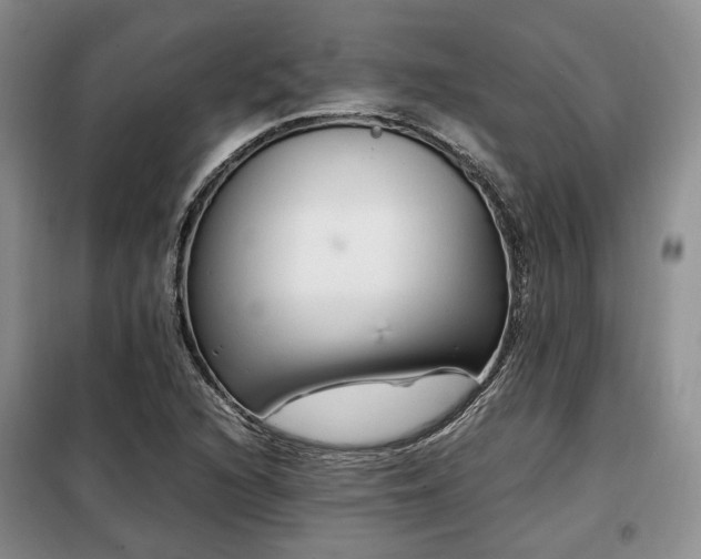 X0000099291216200805021224