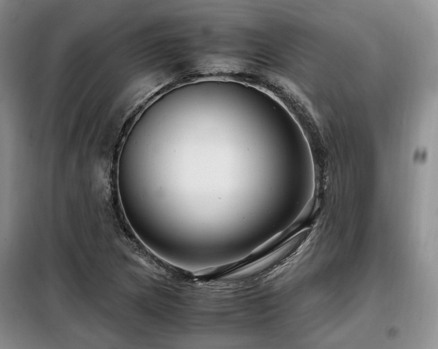 X0000099291217200805021224