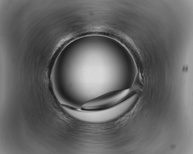 X0000099291218200805021224