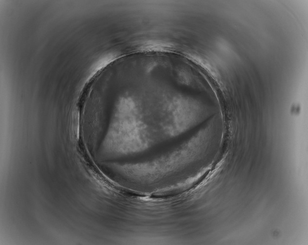 X0000099291219200805021224