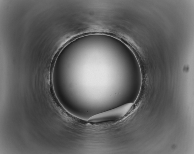 X0000099291220200805021224