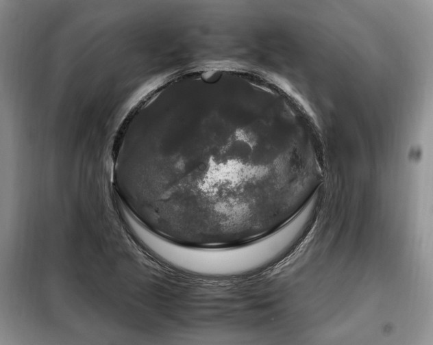 X0000099291221200805021224