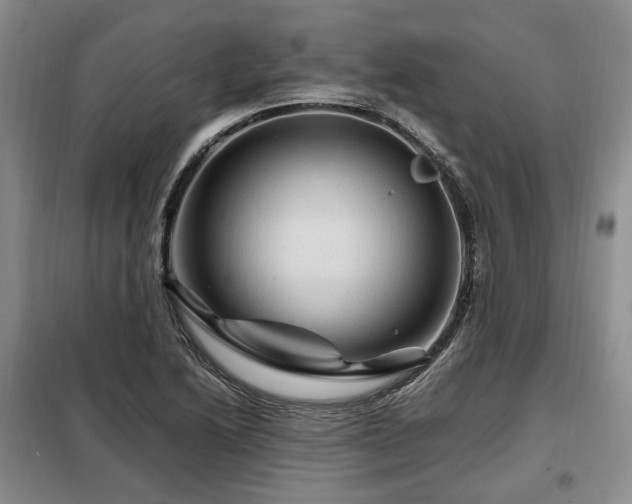 X0000099291222200805021224