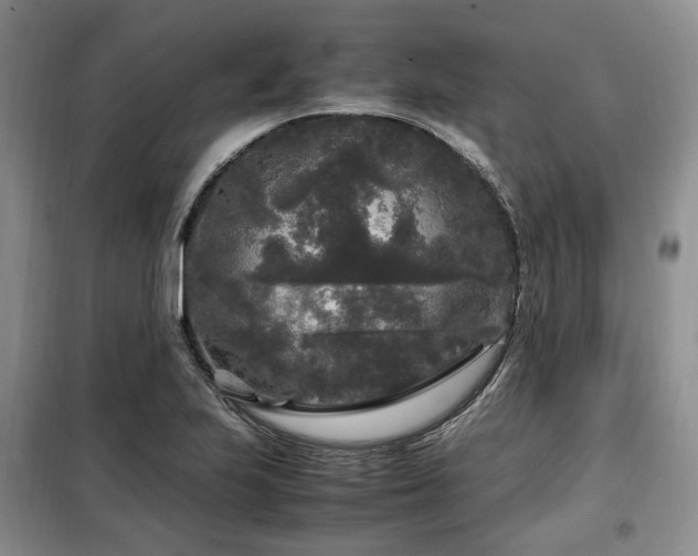 X0000099291223200805021224