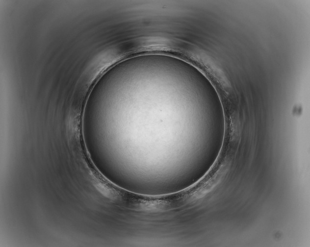 X0000099291225200805021224