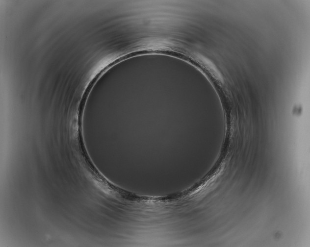 X0000099291226200805021224