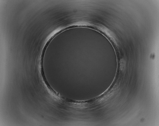X0000099291229200805021224