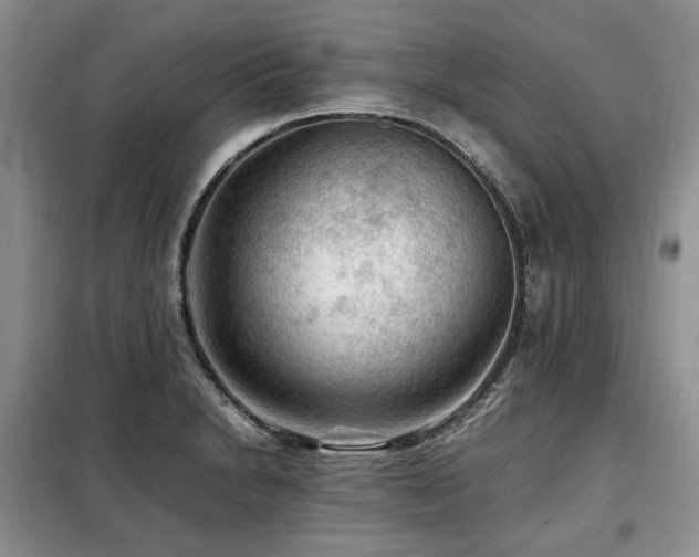 X0000099291230200805021224