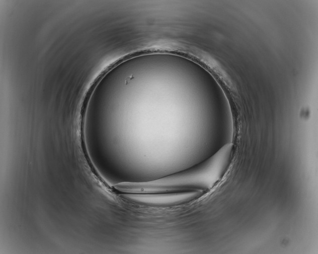 X0000099291232200805021224