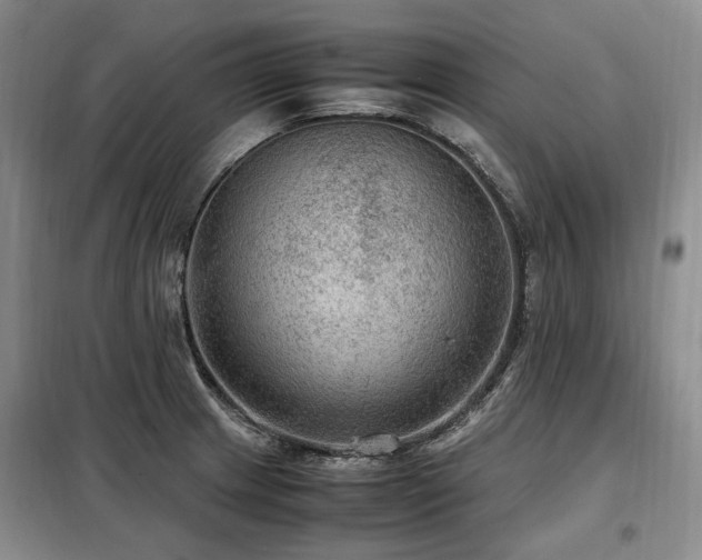 X0000099291233200805021224