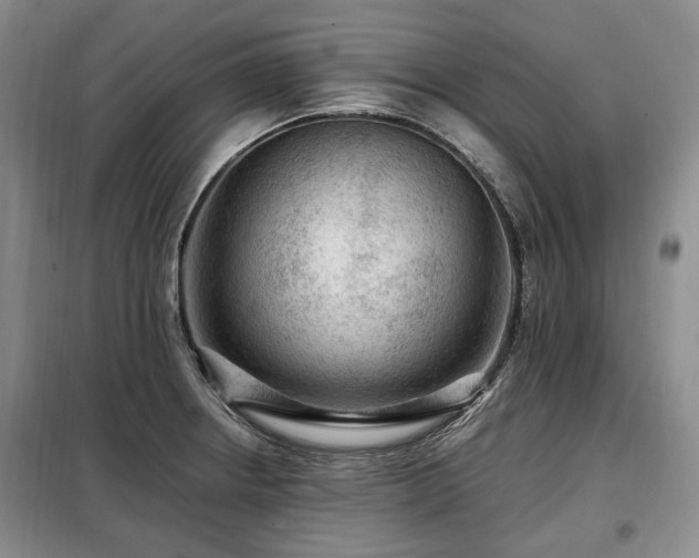 X0000099291234200805021224