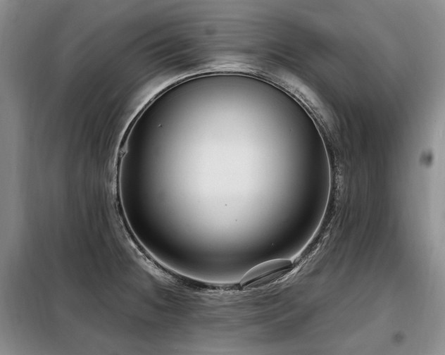 X0000099291236200805021224