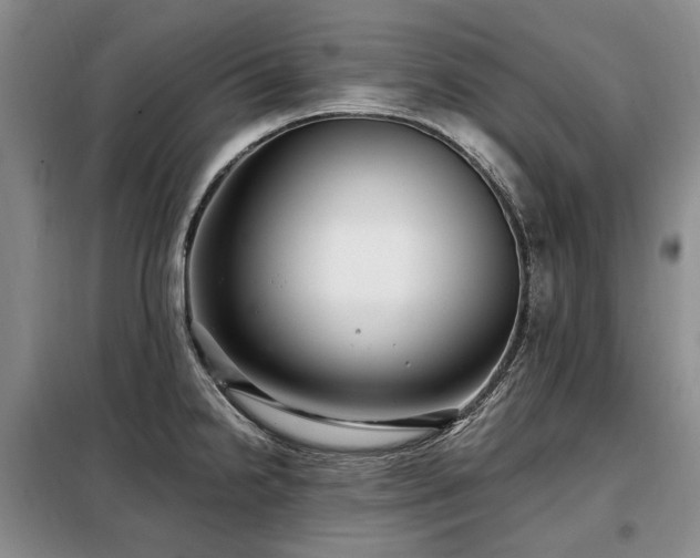 X0000099291238200805021224