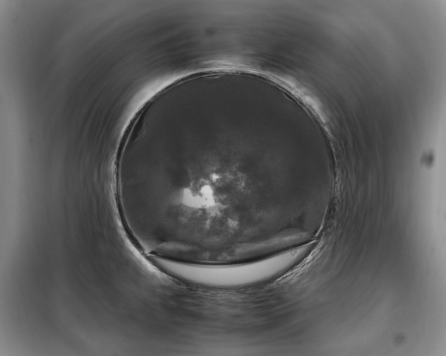 X0000099291239200805021224