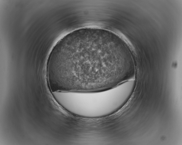 X0000099291240200805021224