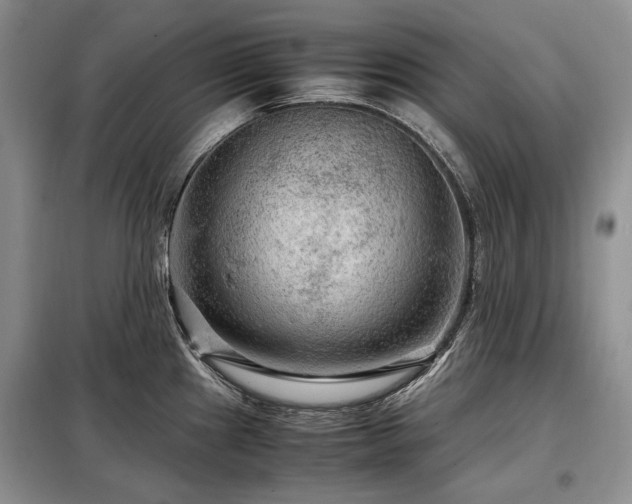 X0000099291241200805021224