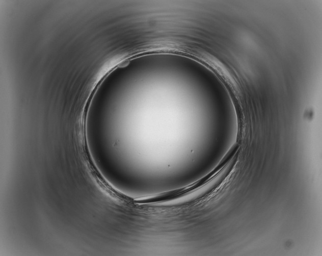 X0000099291242200805021224